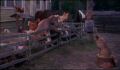 dr dolittle 3-avi_374.jpg